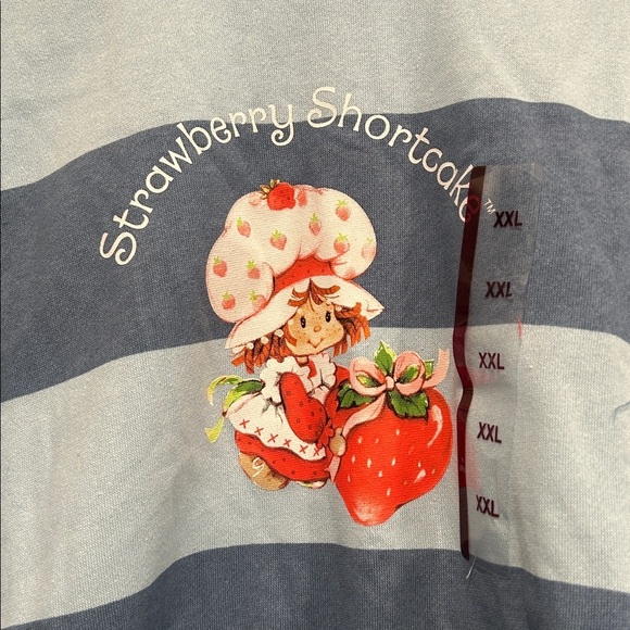 Striped blue strawberry shortcake slouchy crop pullover long sleeve sweatshirt - Picture 3 of 5